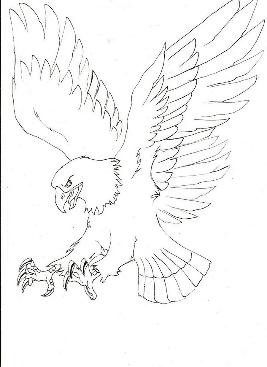 Орёл рисунок карандашом для детей