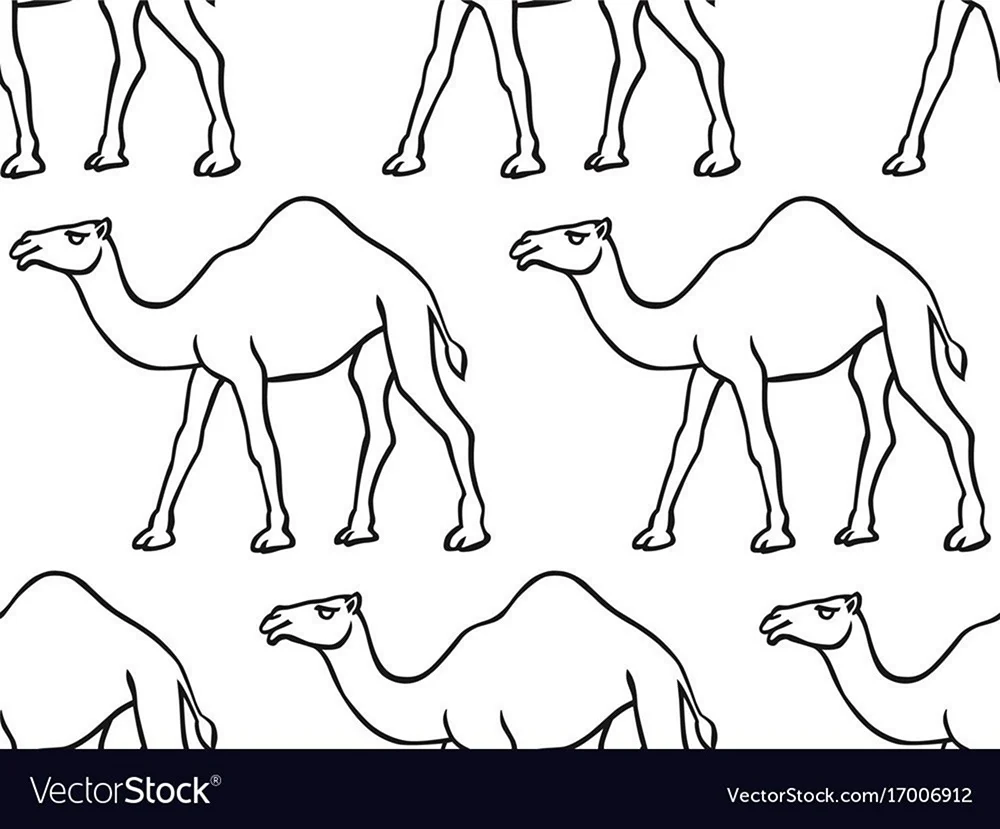 Орнамент раскраска верблюда