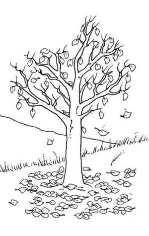 Осеннее дерево раскраска