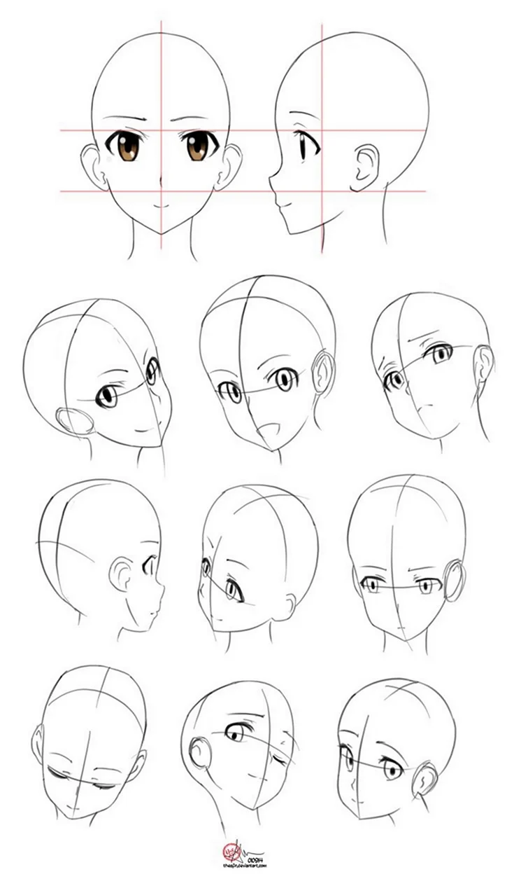 Осевые линии лица аниме