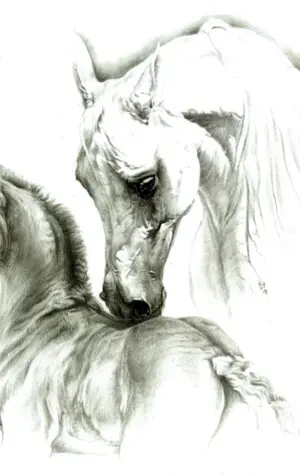 Основа арабской лошади для рисования