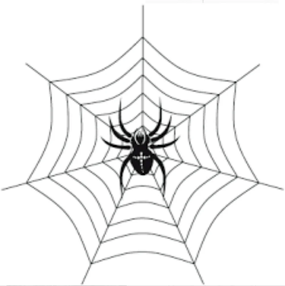 Паук на паутине рисунок карандашом