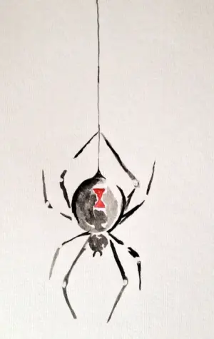 Паук спускается на паутине