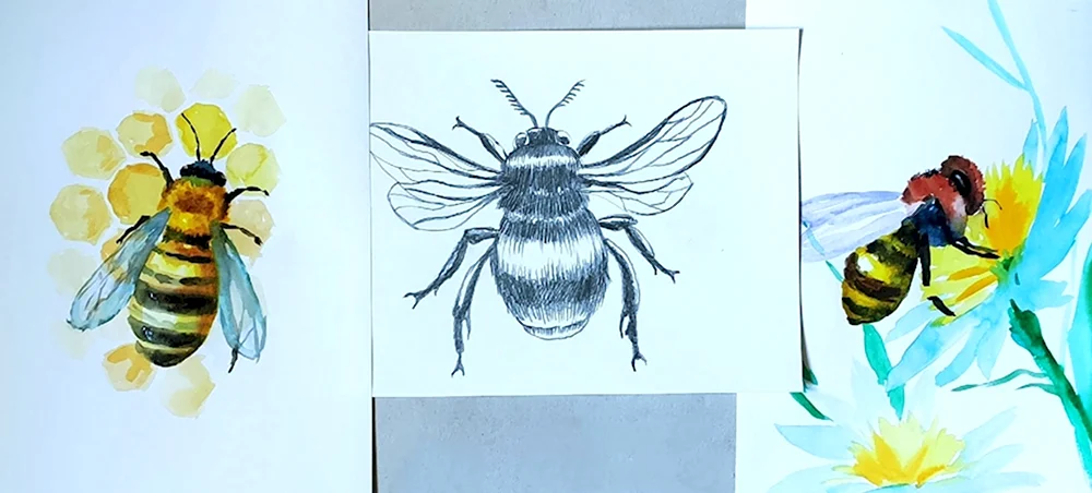 Пчеловодство рисунок карандашом