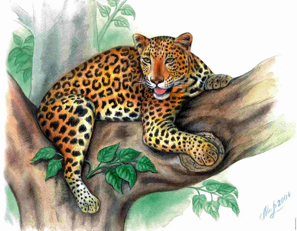 Переднеазиатский леопард акварель