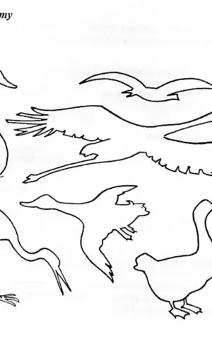Перелетные птицы задания логопеда
