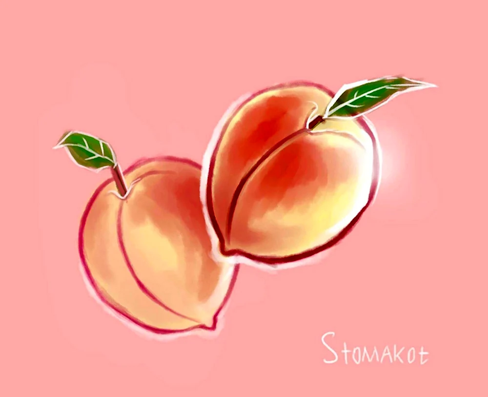 Персик для срисовки