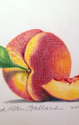 Персик раскрасить карандашами цветными