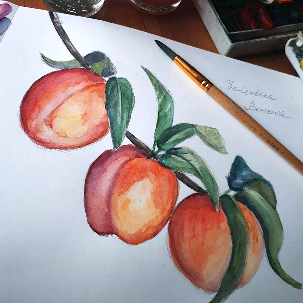 Персик цветными карандашами