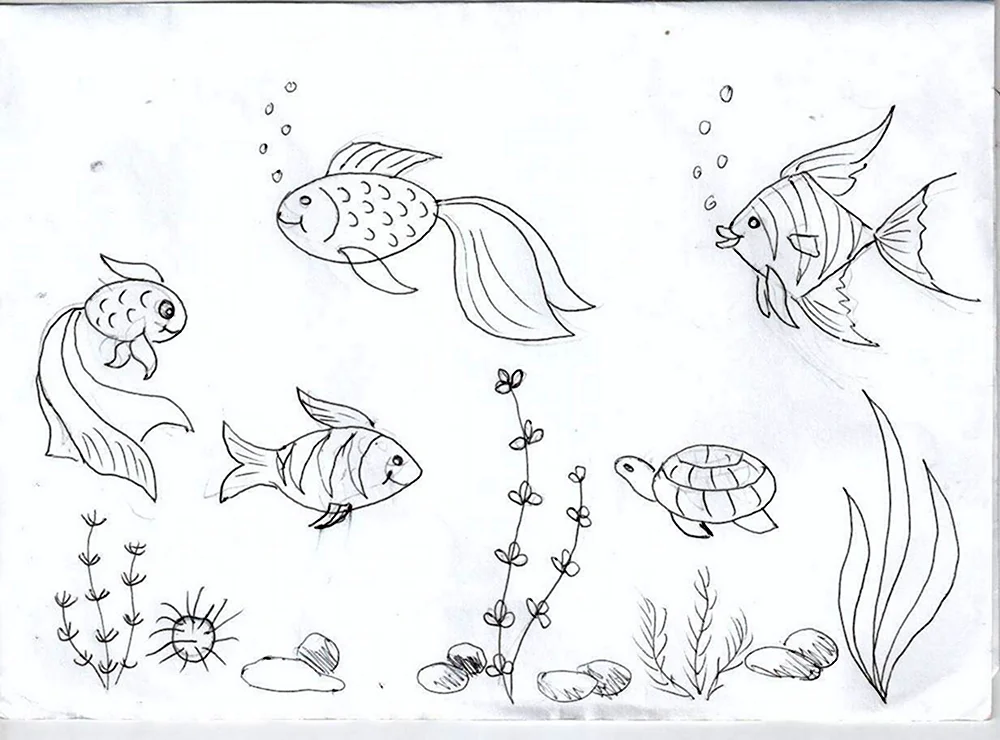 Подводный мир рисунок карандашом для срисовки