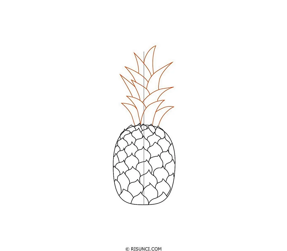 Поэтапное рисование ананаса