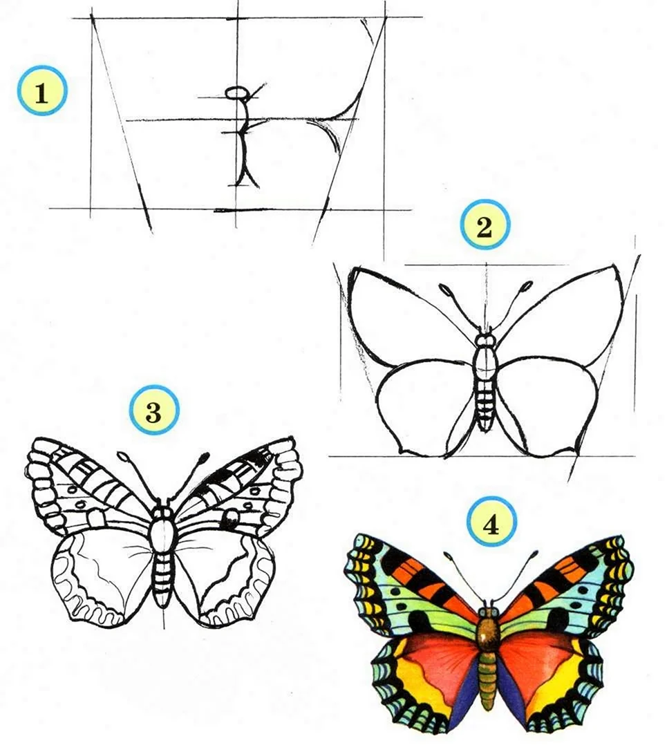 Поэтапное рисование бабочки