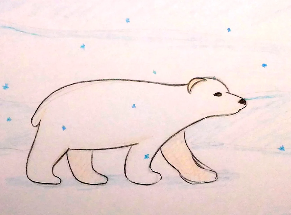Поэтапное рисование белого медведя в старшей группе