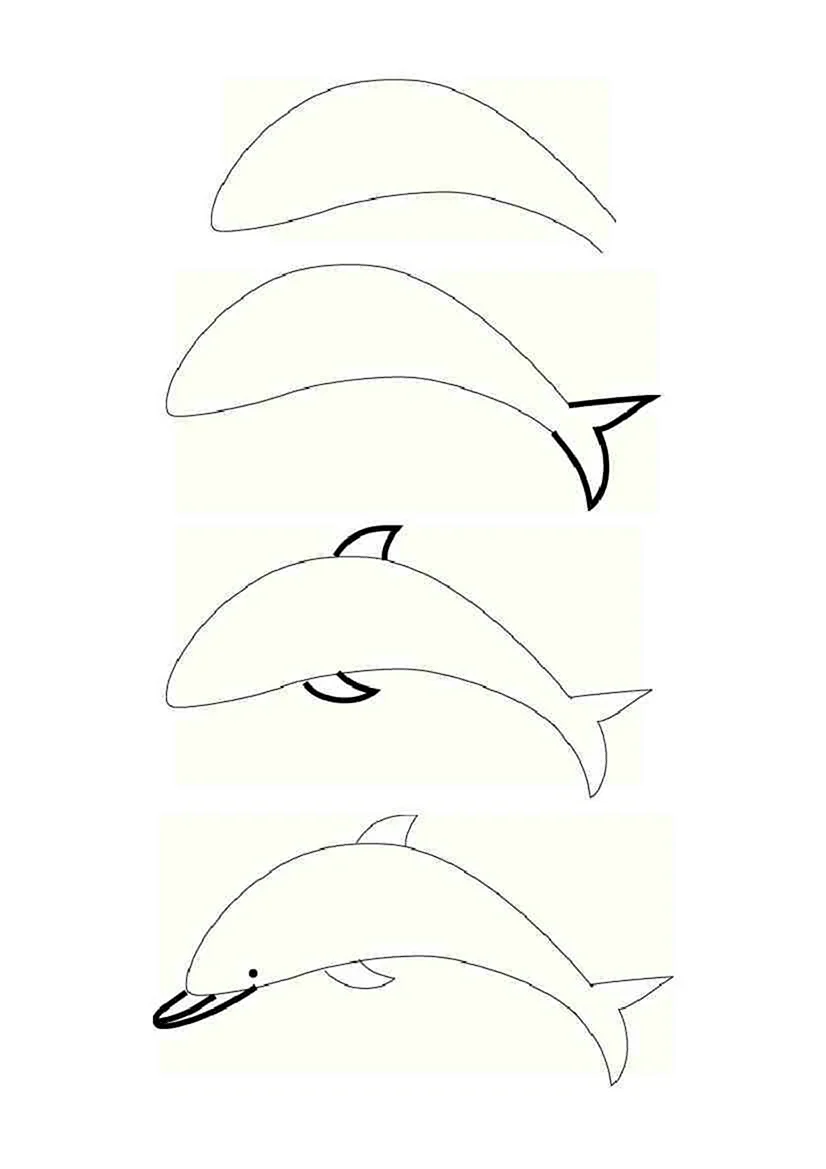 Поэтапное рисование дельфина