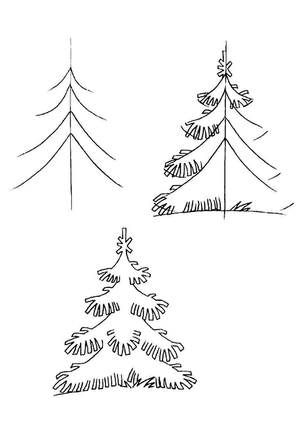 Поэтапное рисование елки