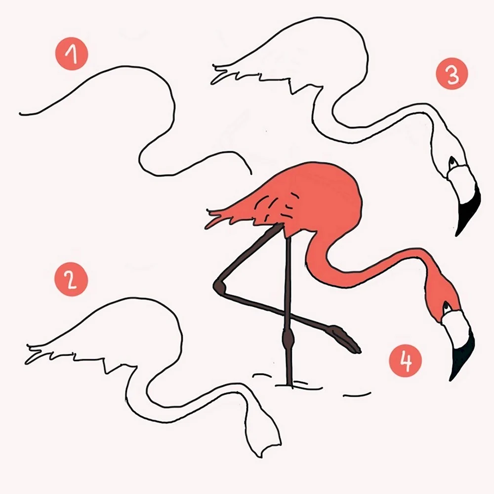Поэтапное рисование Фламинго