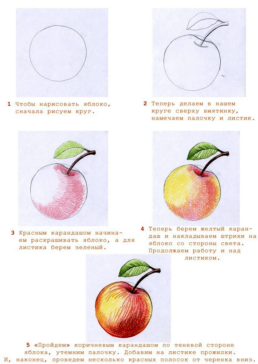 Поэтапное рисование яблока