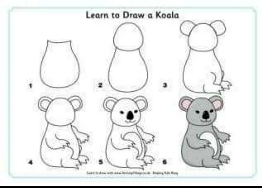 Поэтапное рисование коалы для детей