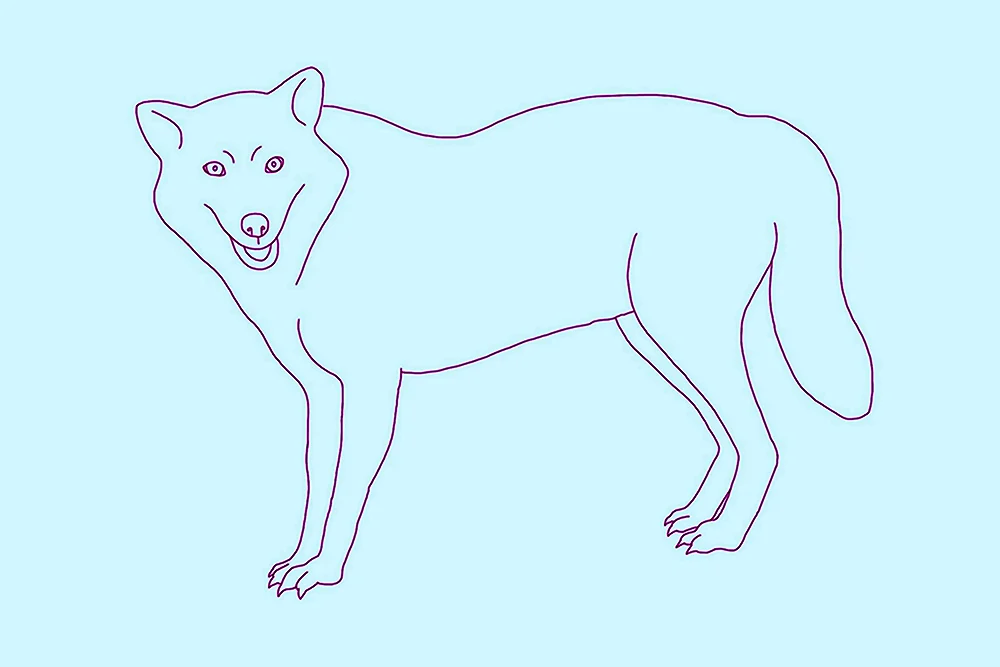Поэтапное рисование красного волка