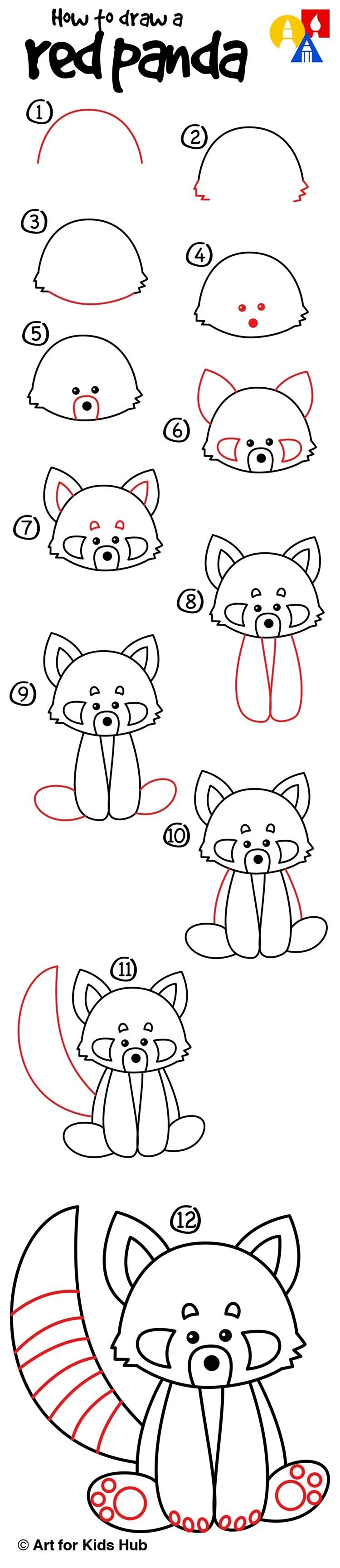 Поэтапное рисование красной панды