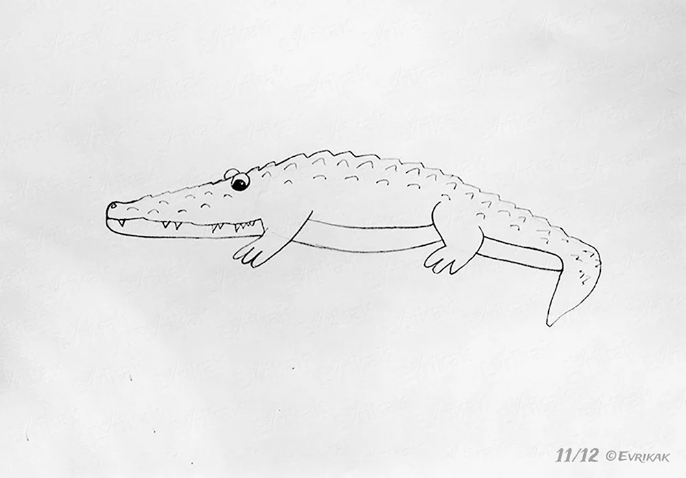 Поэтапное рисование крокодила