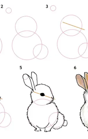 Поэтапное рисование кролика