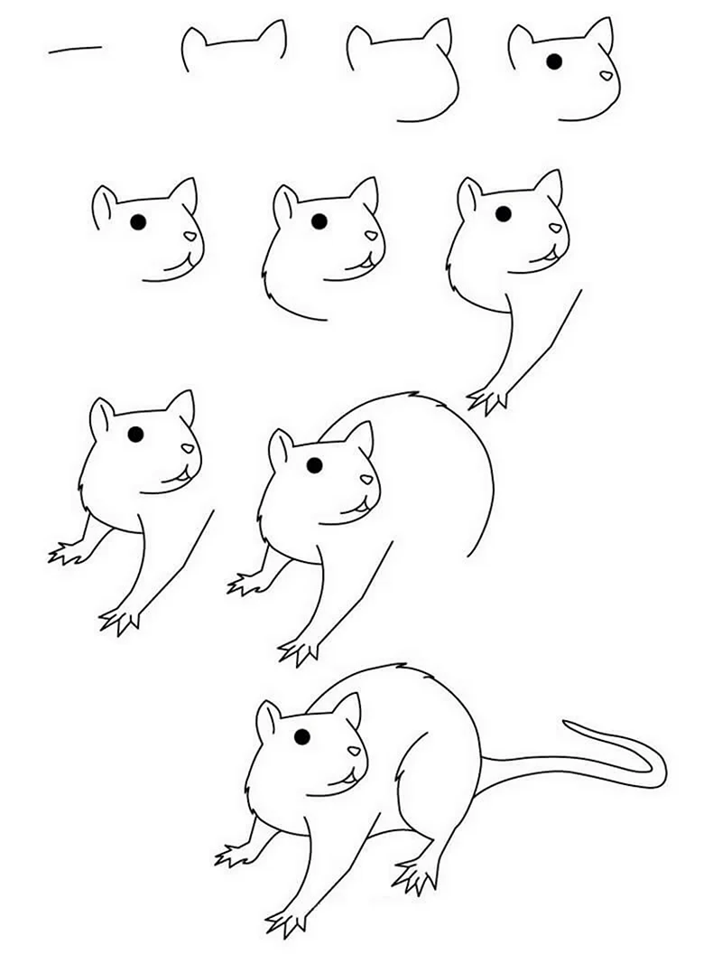 Поэтапное рисование крыса