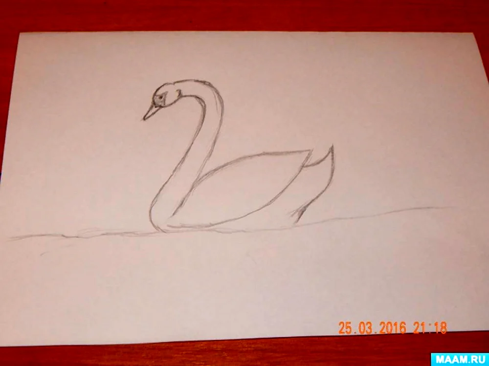 Поэтапное рисование лебедя в подготовительной группе
