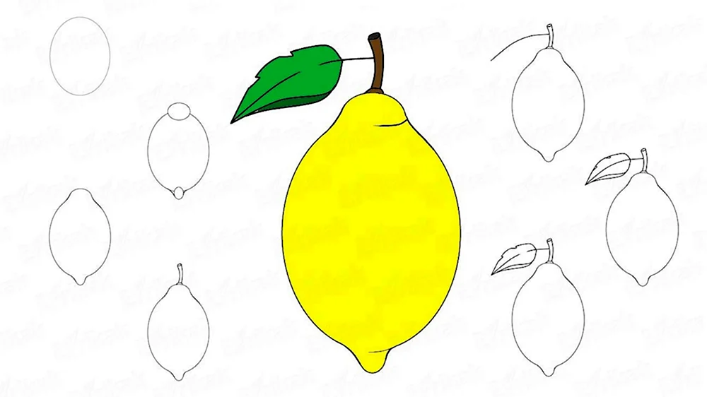 Поэтапное рисование лимона
