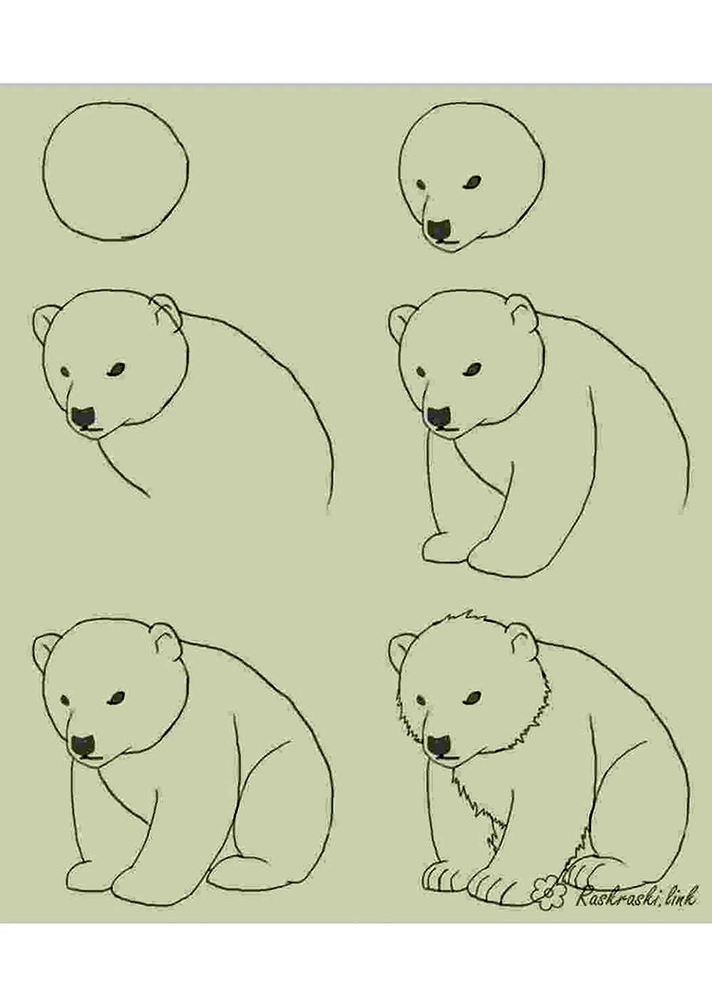 Поэтапное рисование медведя