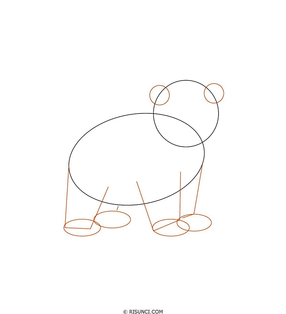 Поэтапное рисование медвежонка