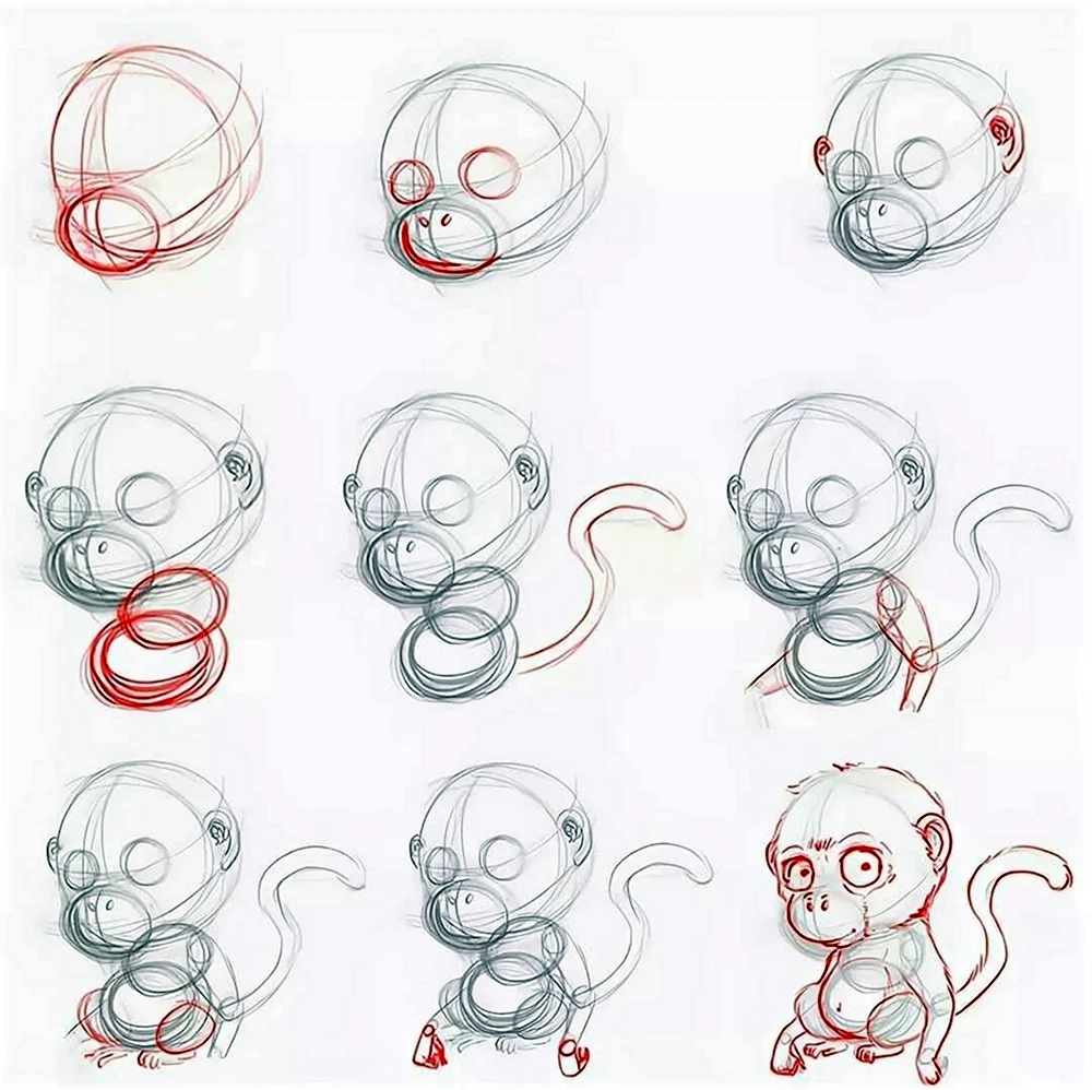 Поэтапное рисование обезьянки