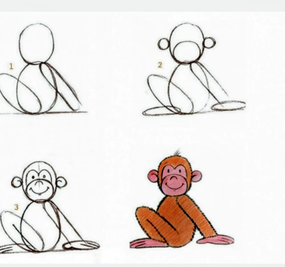 Поэтапное рисование обезьяны для детей
