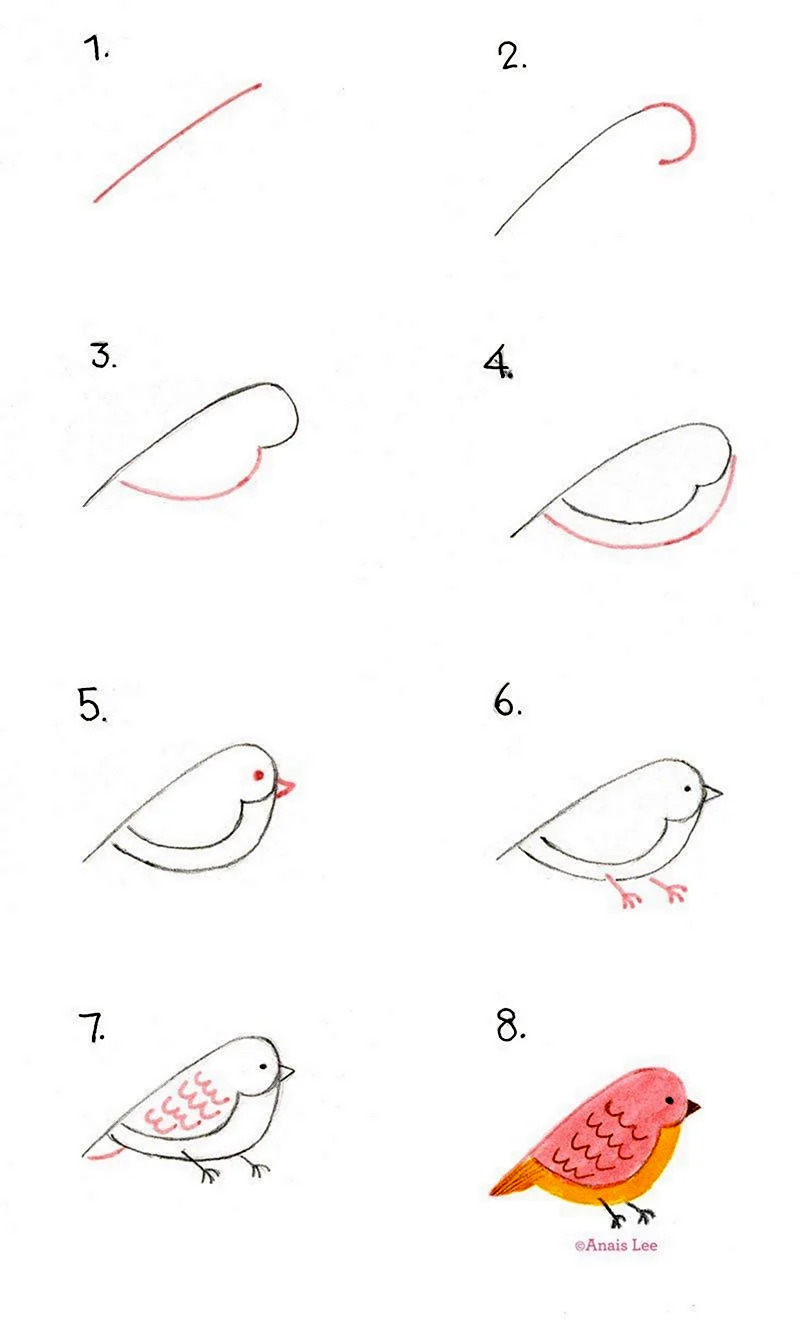 Поэтапное рисование птиц