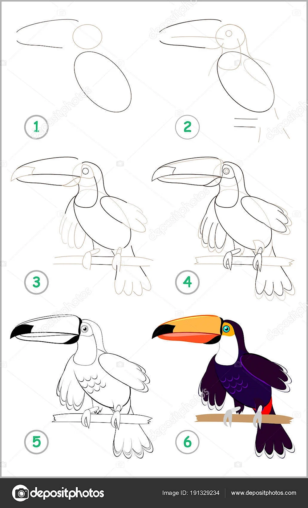 Поэтапное рисование птицы Тукан