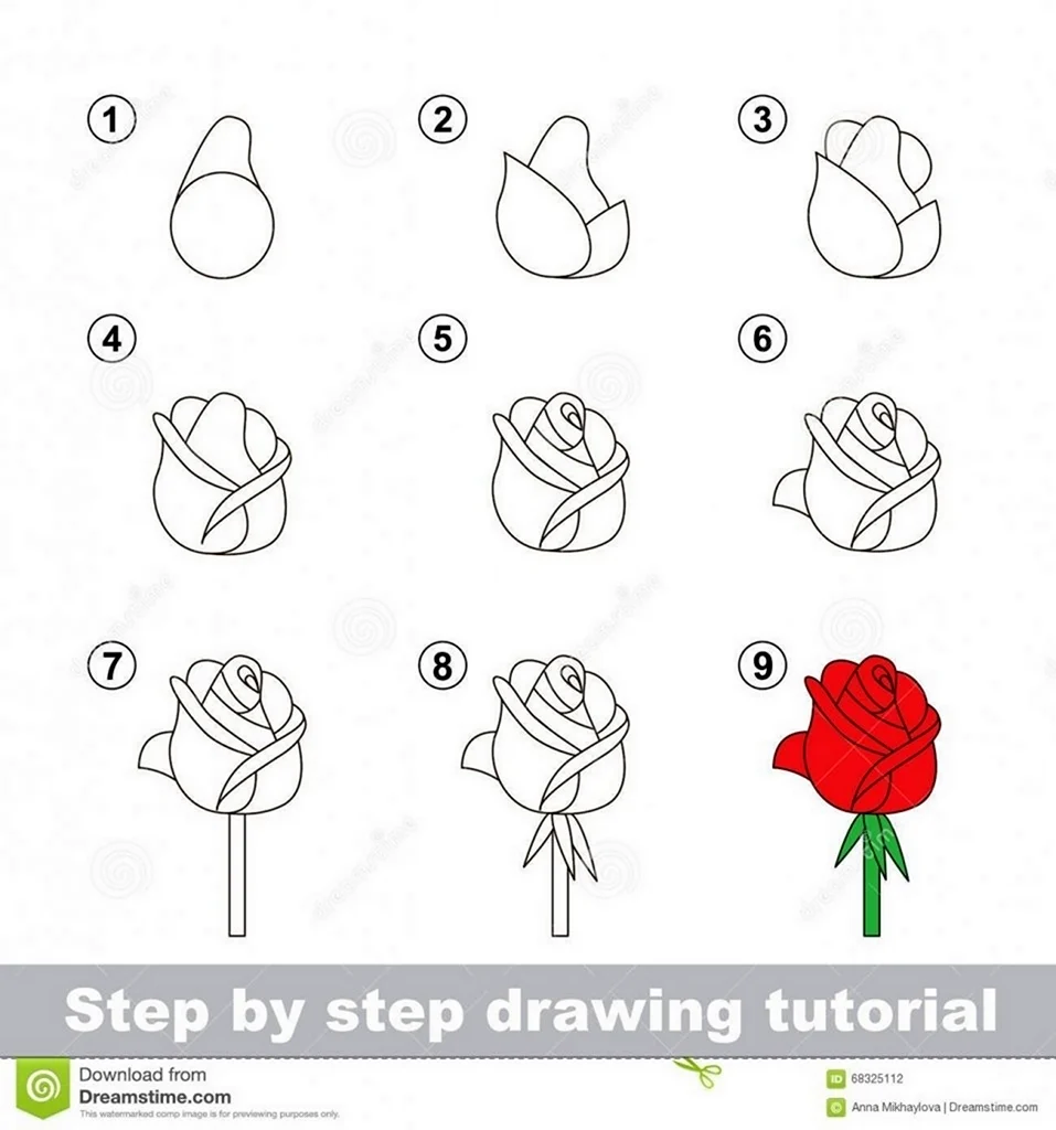Поэтапное рисование розы для дошкольников