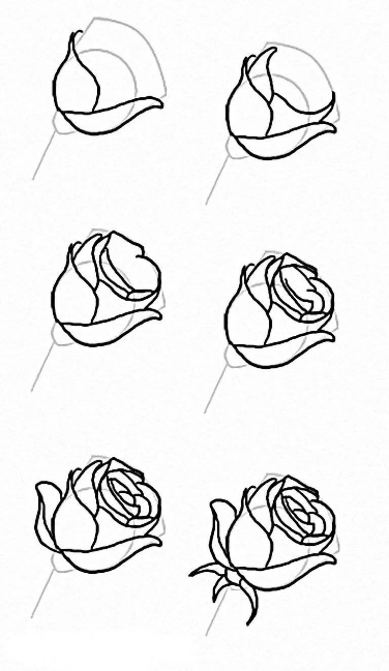 Поэтапное рисование розы карандашом
