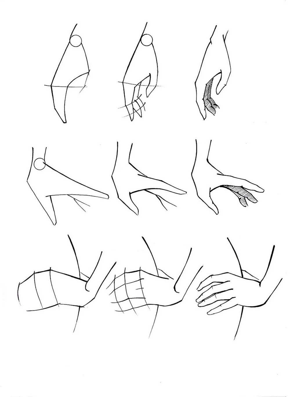 Поэтапное рисование рук