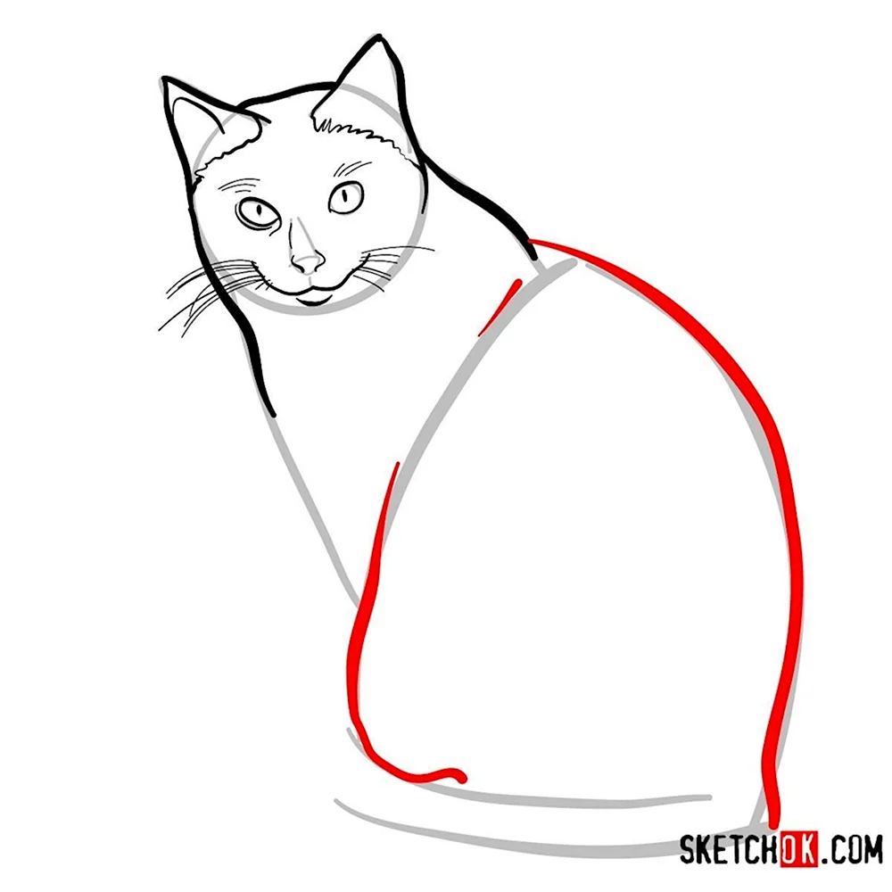 Поэтапное рисование сиамской кошки