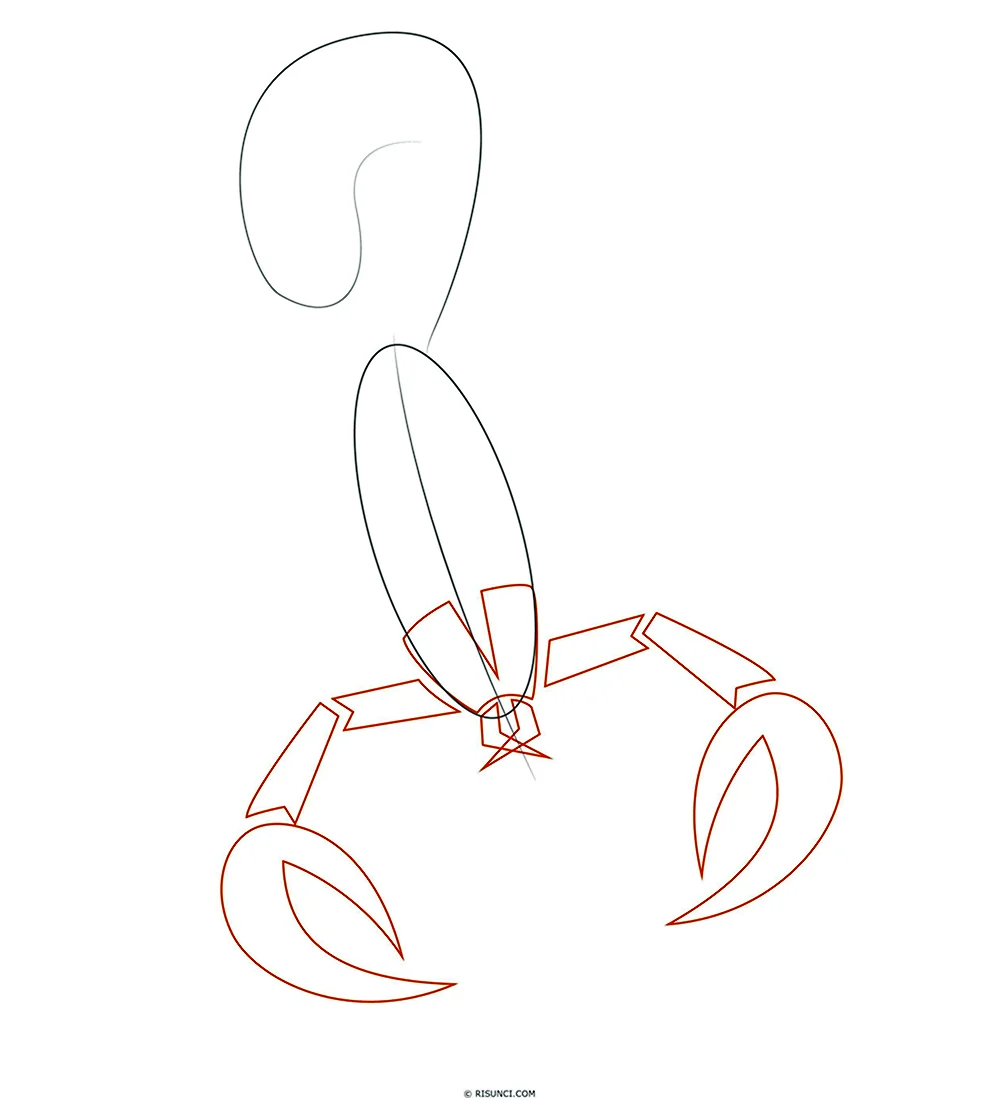 Поэтапное рисование скорпиона