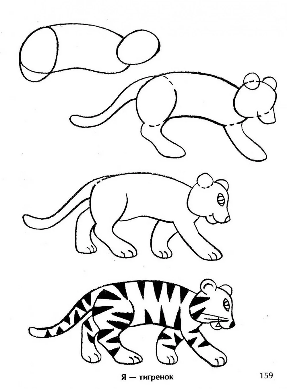 Поэтапное рисование тигра для детей