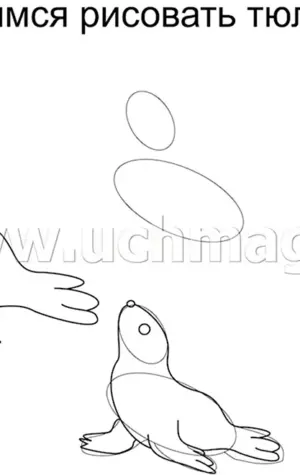 Поэтапное рисование тюленя для детей