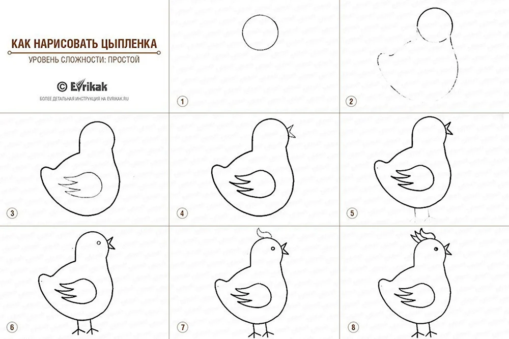 Поэтапное рисование цыпленка