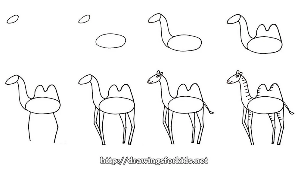 Поэтапное рисование верблюда