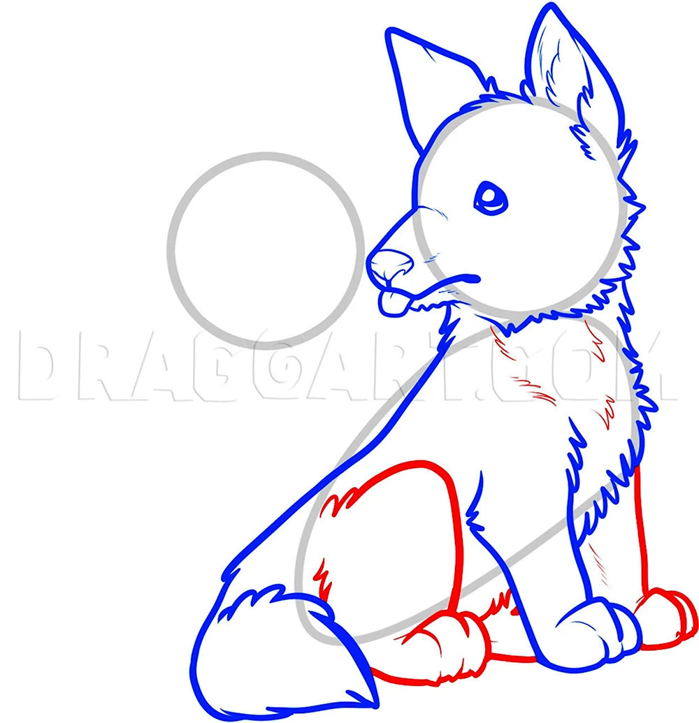 Поэтапное рисование волка и волчонка