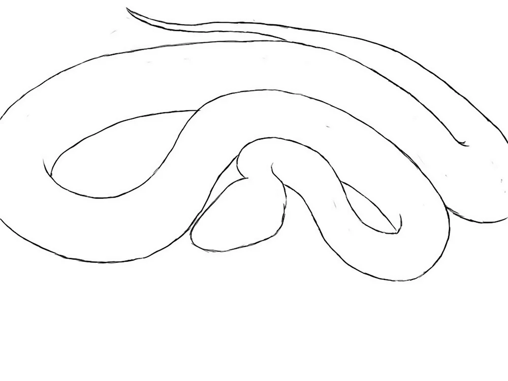 Поэтапное рисование змеи
