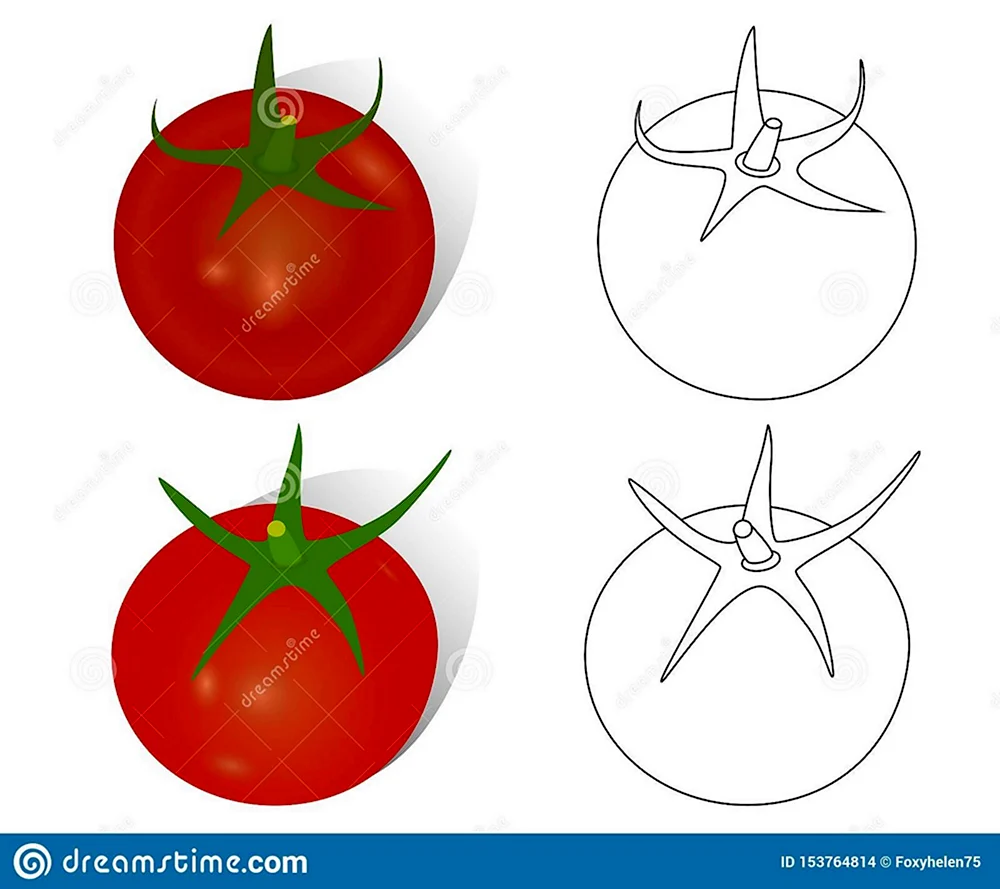 Поэтапность помидор