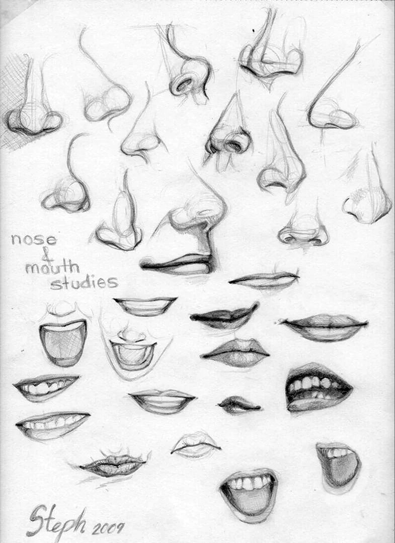 Поэтапные уроки рисования носа
