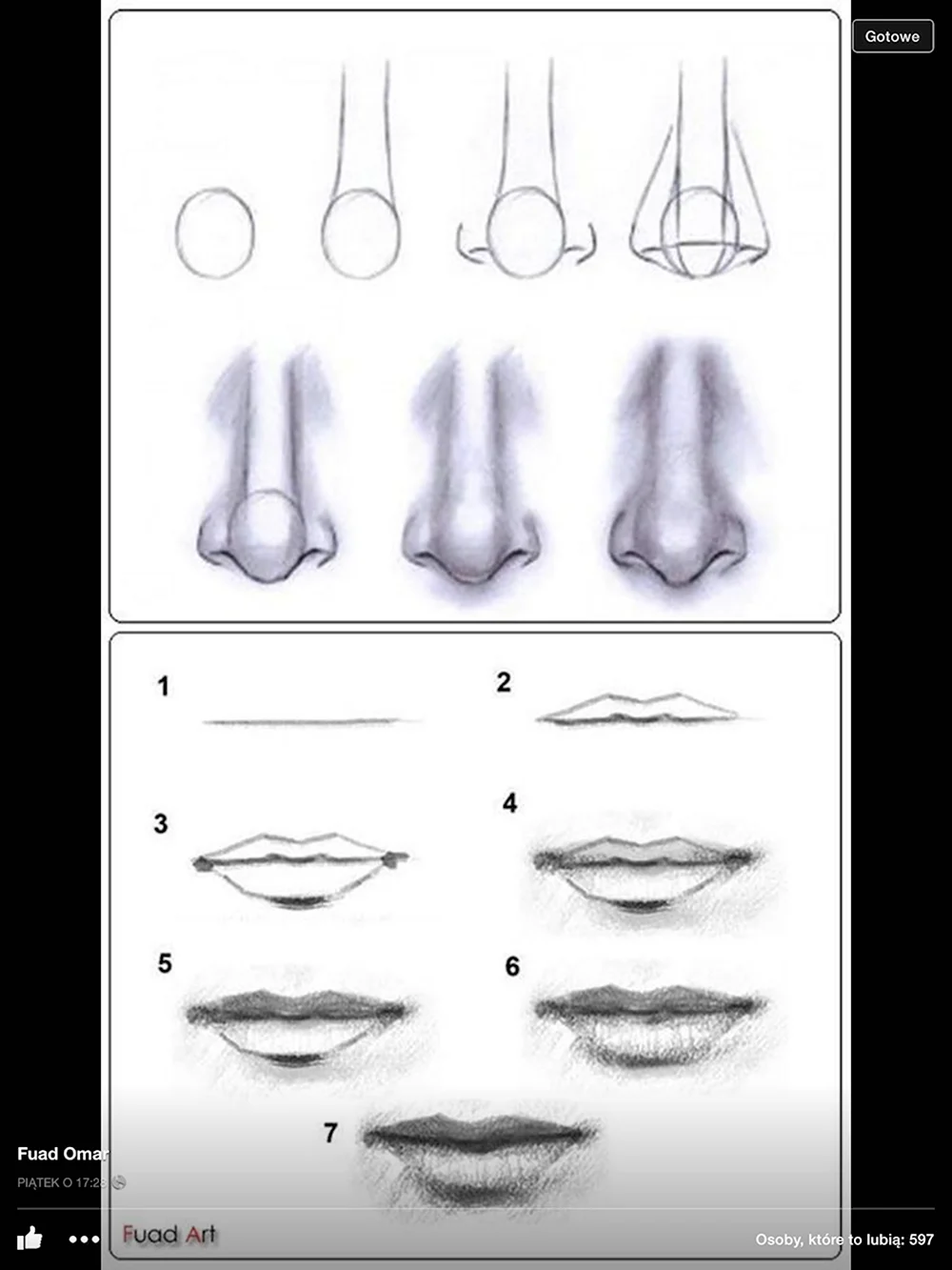 Поэтапные уроки рисования носа