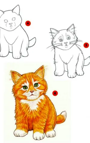 Поэтапный рисунок котенка для детей